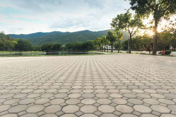 Best Driveway Pavers Near Me  in La Vergne, TN